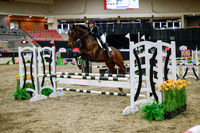 2025 - Haylee - Royal West - Wednesday October 22nd - 00419