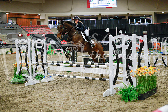 2025 - Haylee - Royal West - Wednesday October 22nd - 00419