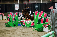 2025 - Haylee - Royal West - Wednesday October 22nd - 00426