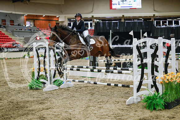 2025 - Haylee - Royal West - Wednesday October 22nd - 00425