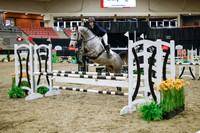 2025 - Haylee - Royal West - Wednesday October 22nd - 00051