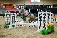 2025 - Haylee - Royal West - Wednesday October 22nd - 00052