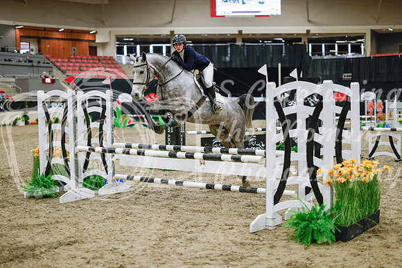 2025 - Haylee - Royal West - Wednesday October 22nd - 00052
