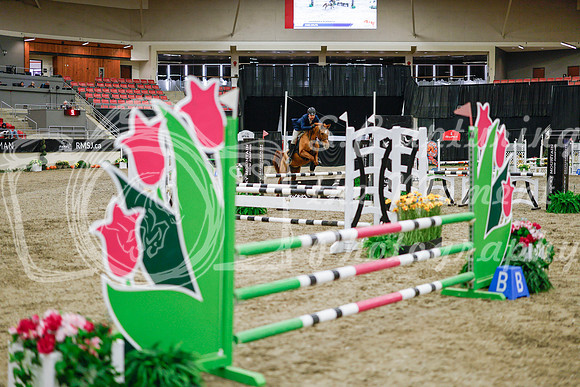 2025 - Haylee - Royal West - Wednesday October 22nd - 00089