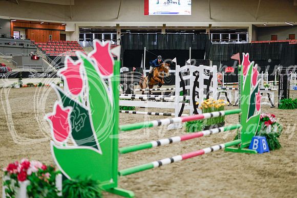 2025 - Haylee - Royal West - Wednesday October 22nd - 00090