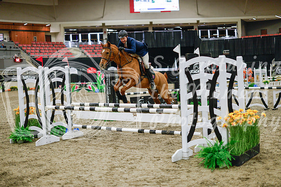 2025 - Haylee - Royal West - Wednesday October 22nd - 00094