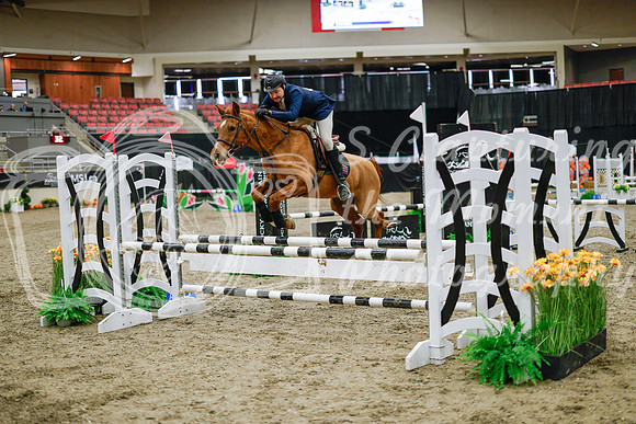 2025 - Haylee - Royal West - Wednesday October 22nd - 00096