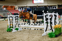 2025 - Haylee - Royal West - Wednesday October 22nd - 00099