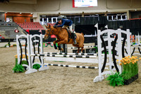 2025 - Haylee - Royal West - Wednesday October 22nd - 00098