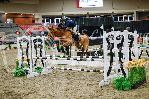 2025 - Haylee - Royal West - Wednesday October 22nd - 00098
