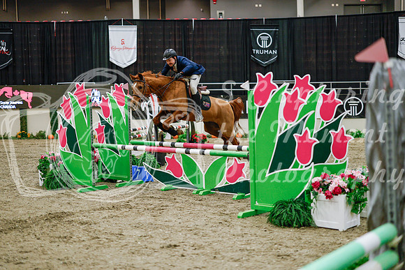 2025 - Haylee - Royal West - Wednesday October 22nd - 00106