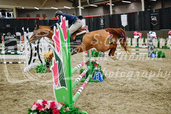 2025 - Haylee - Royal West - Wednesday October 22nd - 00114