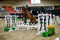 2025 - Haylee - Royal West - Wednesday October 22nd - 00244