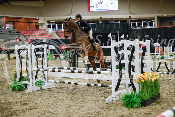 2025 - Haylee - Royal West - Wednesday October 22nd - 00244