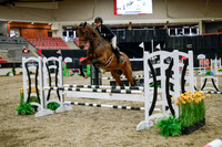 2025 - Haylee - Royal West - Wednesday October 22nd - 00245