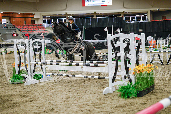 2025 - Haylee - Royal West - Wednesday October 22nd - 00385