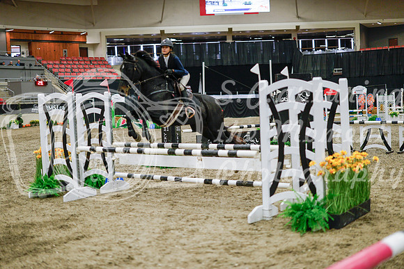 2025 - Haylee - Royal West - Wednesday October 22nd - 00386