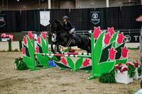 2025 - Haylee - Royal West - Wednesday October 22nd - 00390