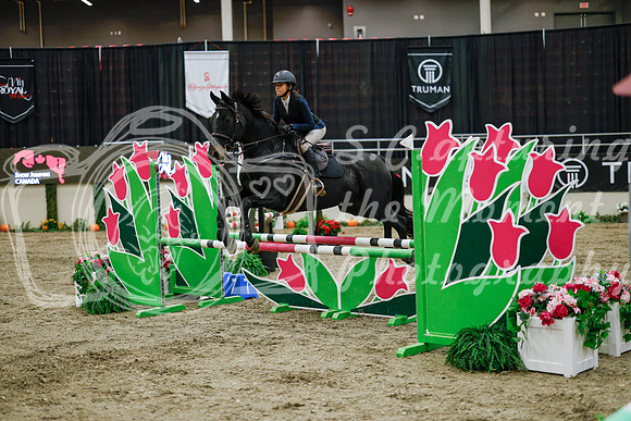 2025 - Haylee - Royal West - Wednesday October 22nd - 00391
