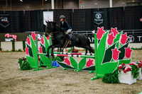 2025 - Haylee - Royal West - Wednesday October 22nd - 00392