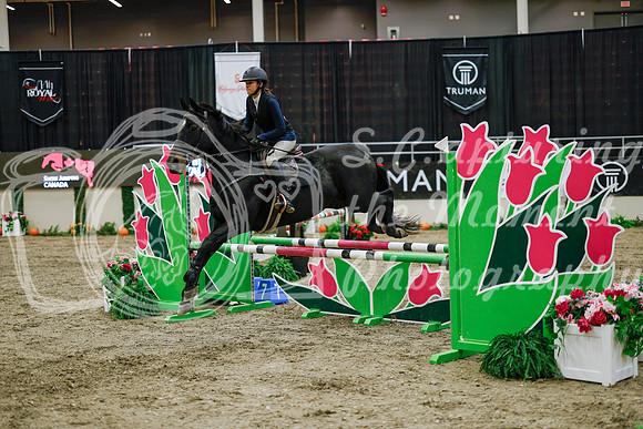 2025 - Haylee - Royal West - Wednesday October 22nd - 00395