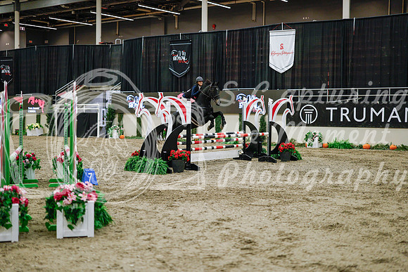 2025 - Haylee - Royal West - Wednesday October 22nd - 00396