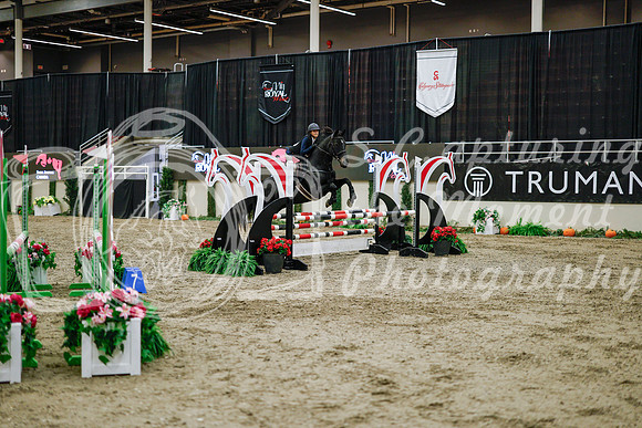 2025 - Haylee - Royal West - Wednesday October 22nd - 00397