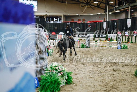 2025 - Haylee - Royal West - Wednesday October 22nd - 00405