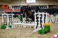 2025 - Haylee - Royal West - Wednesday October 22nd - 00030