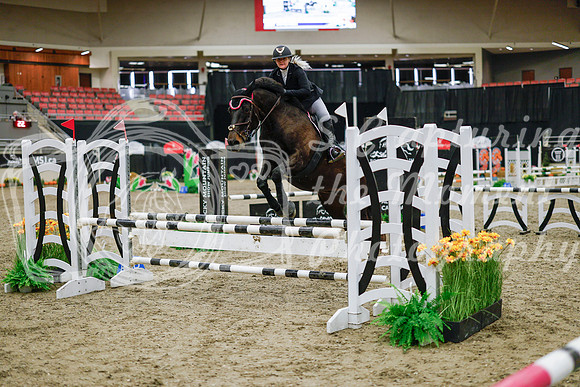 2025 - Haylee - Royal West - Wednesday October 22nd - 00030