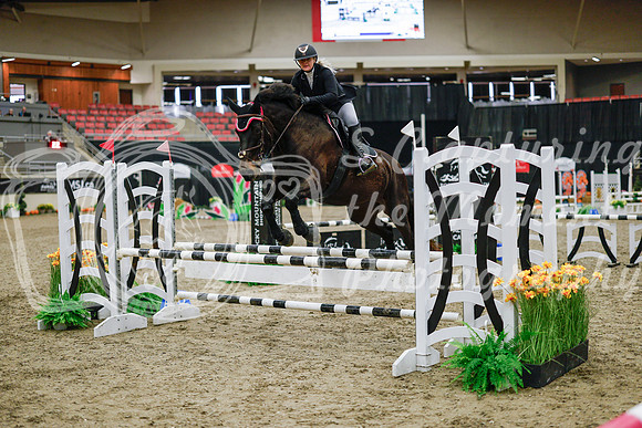 2025 - Haylee - Royal West - Wednesday October 22nd - 00032