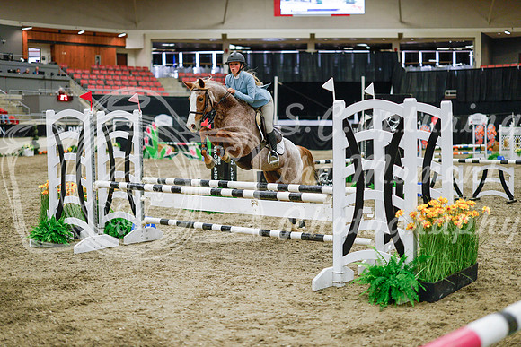 2025 - Haylee - Royal West - Wednesday October 22nd - 00455