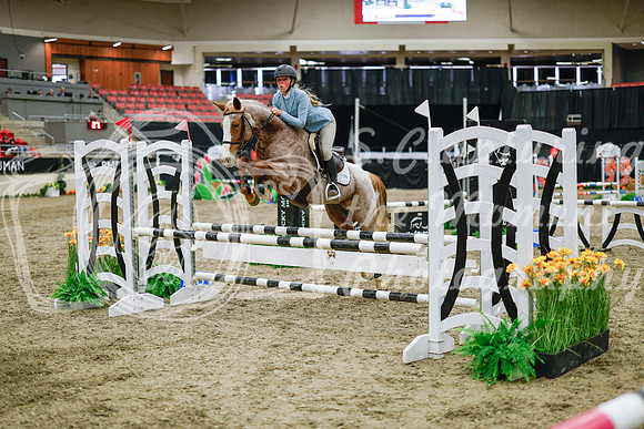 2025 - Haylee - Royal West - Wednesday October 22nd - 00457