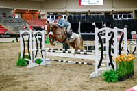 2025 - Haylee - Royal West - Wednesday October 22nd - 00459