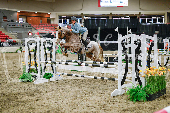 2025 - Haylee - Royal West - Wednesday October 22nd - 00459