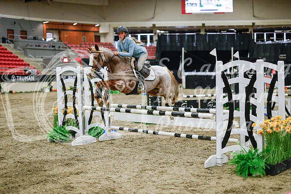 2025 - Haylee - Royal West - Wednesday October 22nd - 00462