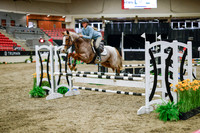 2025 - Haylee - Royal West - Wednesday October 22nd - 00461