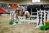 2025 - Haylee - Royal West - Wednesday October 22nd - 00463