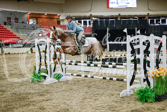 2025 - Haylee - Royal West - Wednesday October 22nd - 00463