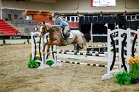 2025 - Haylee - Royal West - Wednesday October 22nd - 00464
