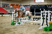 2025 - Haylee - Royal West - Wednesday October 22nd - 00465