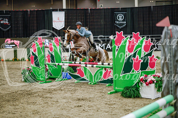 2025 - Haylee - Royal West - Wednesday October 22nd - 00467