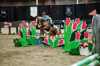 2025 - Haylee - Royal West - Wednesday October 22nd - 00468