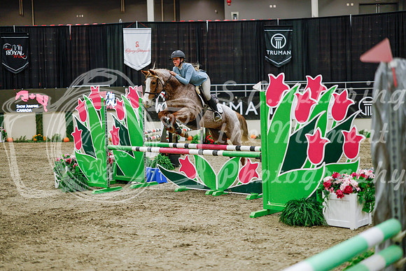 2025 - Haylee - Royal West - Wednesday October 22nd - 00468