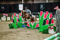 2025 - Haylee - Royal West - Wednesday October 22nd - 00469