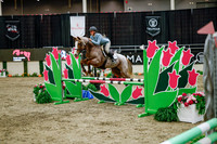 2025 - Haylee - Royal West - Wednesday October 22nd - 00470