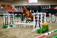 2025 - Haylee - Royal West - Wednesday October 22nd - 00518