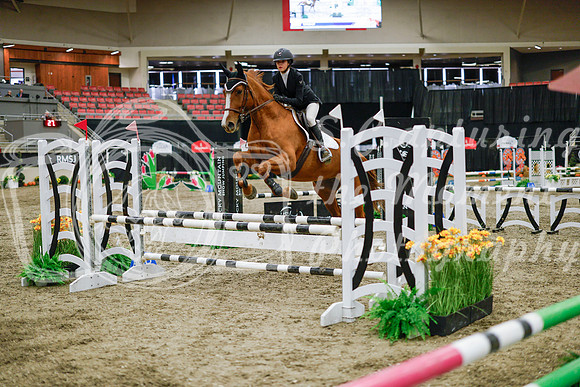 2025 - Haylee - Royal West - Wednesday October 22nd - 00518