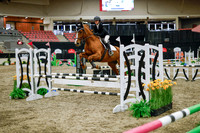 2025 - Haylee - Royal West - Wednesday October 22nd - 00519