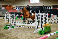 2025 - Haylee - Royal West - Wednesday October 22nd - 00520